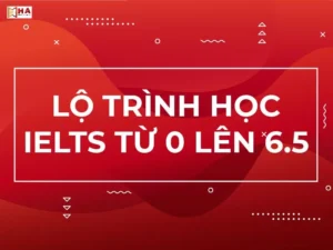 lo-trinh-hoc-ielts-tu-0-len-6-5.webp
